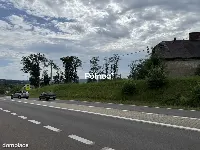 58 arów przy DW 977 | Działka inwestycyjna | Tuchów — zdjęcie 9