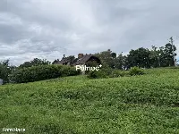 58 arów przy DW 977 | Działka inwestycyjna | Tuchów — zdjęcie 2