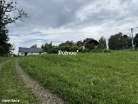 58 arów przy DW 977 | Działka inwestycyjna | Tuchów — zdjęcie 1