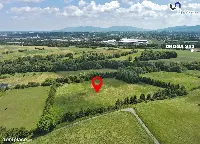 Działka — Międzyrzecze Górne — zdjęcie 3