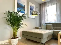 Jasny apartament 70m², 2 sypialnie, balkon i parking na Ochocie — zdjęcie 8