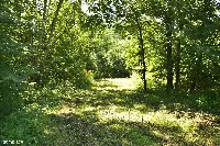 Sprzedam dużą działkę - Włosań, gm. Mogilany. — zdjęcie 9
