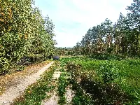 Działka — zgierski, Głowno — zdjęcie 11
