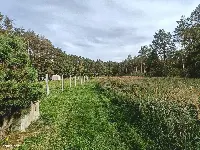 Działka — zgierski, Głowno — zdjęcie 14