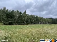 Działka inwestycyjna 7000 m² Sieraków k. Radzymina — zdjęcie 2