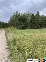 Działka inwestycyjna 7000 m² Sieraków k. Radzymina — zdjęcie 1