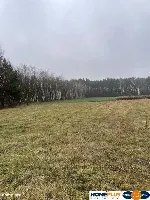 Działka bud. 4113 m² w Sierakowie koło Radzymina. — zdjęcie 6