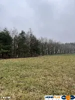 Działka bud. 4113 m² w Sierakowie koło Radzymina. — zdjęcie 9