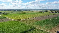Działka — kolneński, Kolno — zdjęcie 3