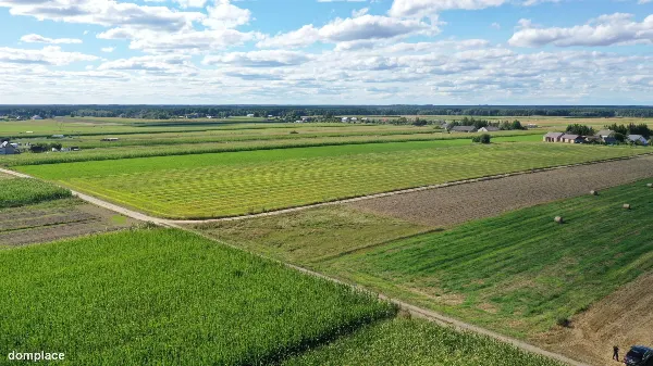 Działka — kolneński, Kolno — zdjęcie 3