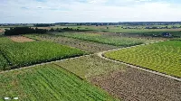Działka — kolneński, Kolno — zdjęcie 5
