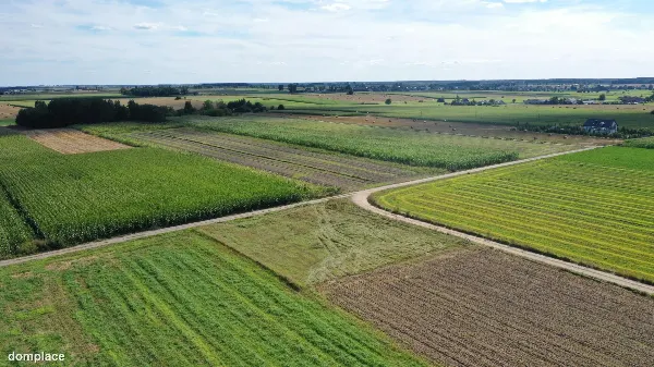 Działka — kolneński, Kolno — zdjęcie 5