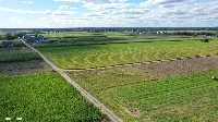 Działka — kolneński, Kolno — zdjęcie 6