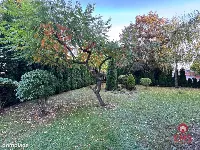 2 pokoje na wynajem — zdjęcie 9
