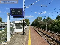 Parter w willi z ogrodem na działalność Sulejówek — zdjęcie 4