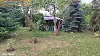 Działka ROD Siekierki II - 300 m² — zdjęcie 3