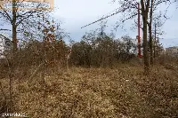 DZIAŁKA INWESTYCYJNA 2401 m² Warszawa Białołęka — zdjęcie 14
