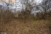 DZIAŁKA INWESTYCYJNA 2401 m² Warszawa Białołęka — zdjęcie 15