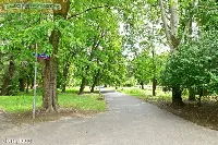 Mieszkanie w kamienicy w otulinie parków — zdjęcie 13