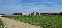 Działka — Międzyrzecze — zdjęcie 4