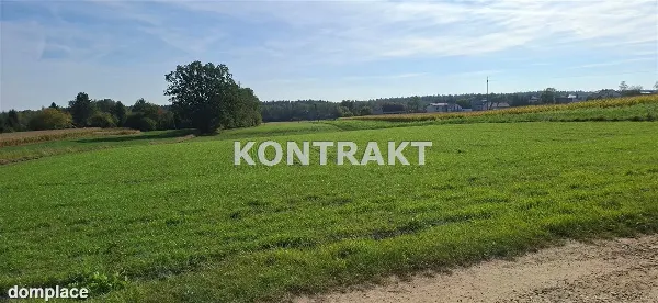 Działka — Międzyrzecze — zdjęcie 5