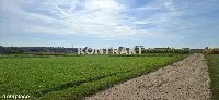 Działka — Międzyrzecze — zdjęcie 8
