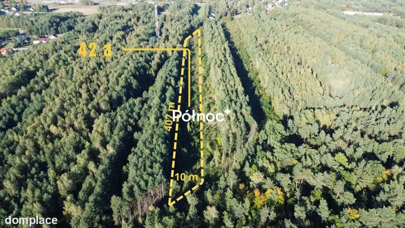Działka / 42 a / Bogoria