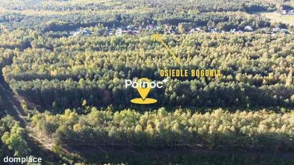 Działka / 42 a / Bogoria — zdjęcie 3