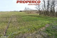 Dom — Busko-Zdrój, Budzyń — zdjęcie 9