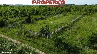 Działka — Busko-Zdrój, Wolica — zdjęcie 1