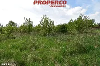 Działka — Piekoszów — zdjęcie 4