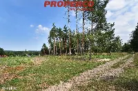 Działka — Daleszyce, Borków — zdjęcie 4