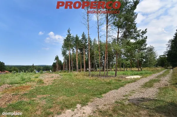 Działka — Daleszyce, Borków — zdjęcie 4