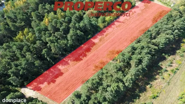 Działka — Daleszyce, Suków — zdjęcie 3