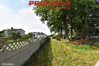 Działka — Radlin — zdjęcie 6