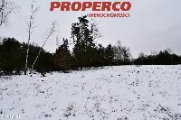 Działka — Chęciny, Podpolichno — zdjęcie 3