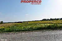 Działka — Daleszyce, Suków — zdjęcie 2