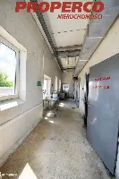Hala/Magazyn — Piekoszów — zdjęcie 7