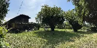 Sprzedam działkę o powierzchni 15 arów zabudowaną budynkiem mieszkalnym z ogrodem i urządzoną zielenią, 3 km od ścisłego centrum Krakowa, wraz z projektem modernizacji — zdjęcie 4