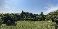Sprzedam działkę o powierzchni 15 arów zabudowaną budynkiem mieszkalnym z ogrodem i urządzoną zielenią, 3 km od ścisłego centrum Krakowa, wraz z projektem modernizacji — zdjęcie 6