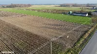 Działka z WZ w Helenowie/Policzna 16 km od Puław — zdjęcie 4