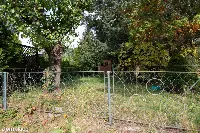 Działka ROD 298 m² z murowanym domkiem ul. Bukowska 235 — zdjęcie 7