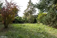 Działka ROD 298 m² z murowanym domkiem ul. Bukowska 235 — zdjęcie 10