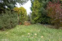 Działka ROD 298 m² z murowanym domkiem ul. Bukowska 235 — zdjęcie 11