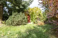 Działka ROD 298 m² z murowanym domkiem ul. Bukowska 235 — zdjęcie 2