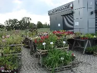 Działka — oławski, Jelcz-Laskowice — zdjęcie 6