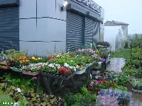 Działka — oławski, Jelcz-Laskowice — zdjęcie 7