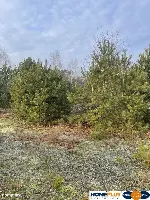 Działka 2050 m² pod zabudowę letniskową. — zdjęcie 1