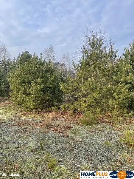 Działka 1050 m² pod zabudowę letniskową. — zdjęcie 3