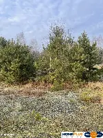 Działka 1050 m² pod zabudowę letniskową. — zdjęcie 4